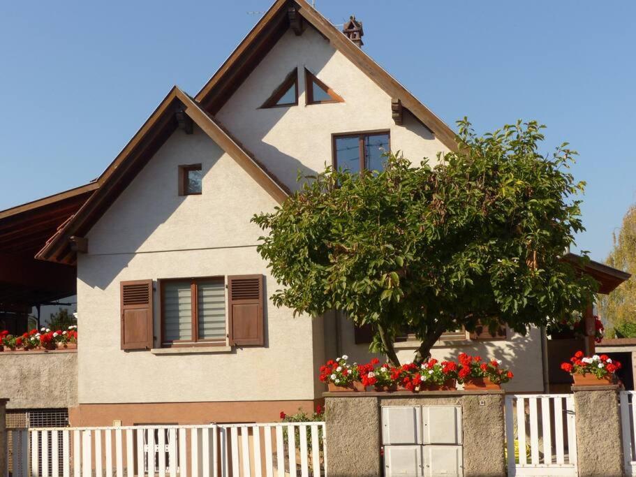 Gite Spacieux Au Coeur De L'Alsace 3*** Sélestat Εξωτερικό φωτογραφία