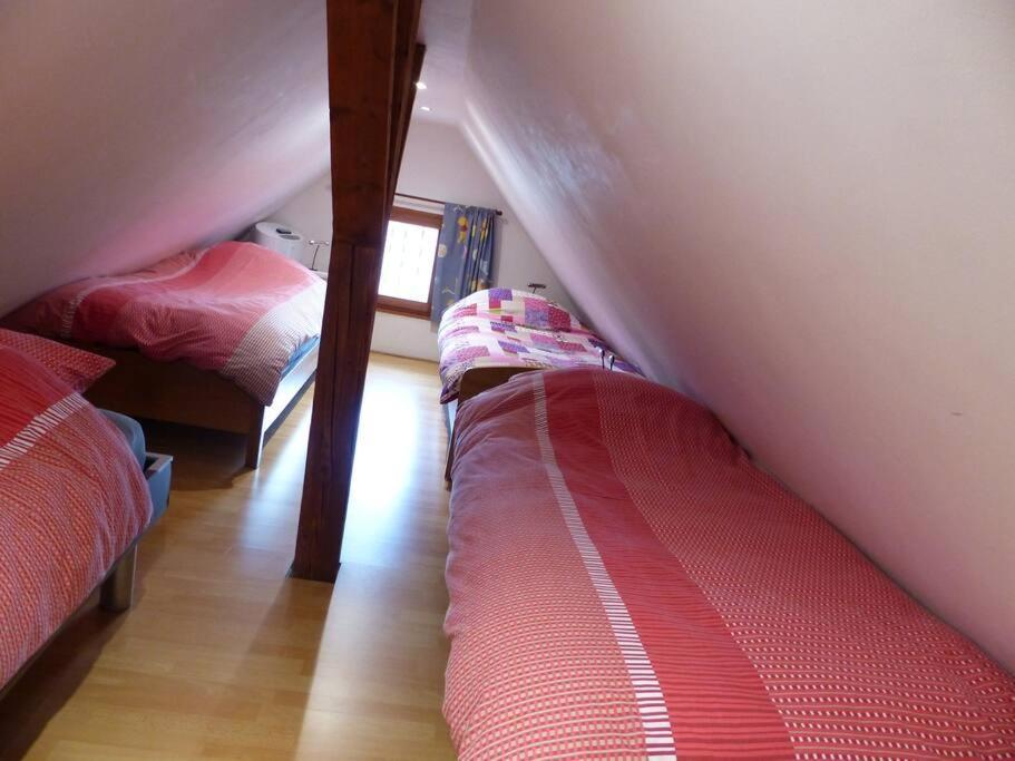 Gite Spacieux Au Coeur De L'Alsace 3*** Sélestat Εξωτερικό φωτογραφία