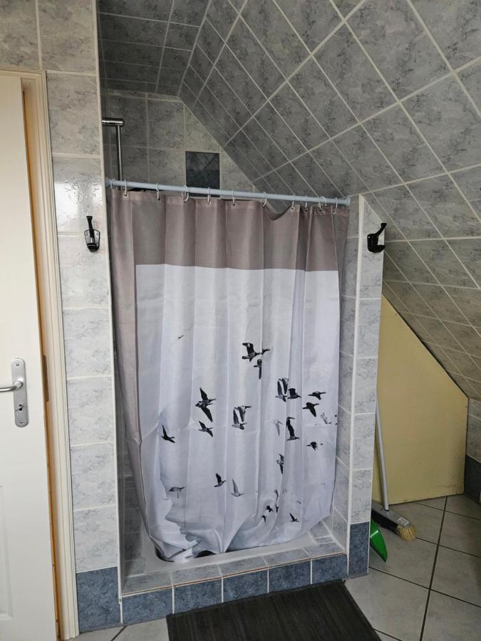 Gite Spacieux Au Coeur De L'Alsace 3*** Sélestat Εξωτερικό φωτογραφία